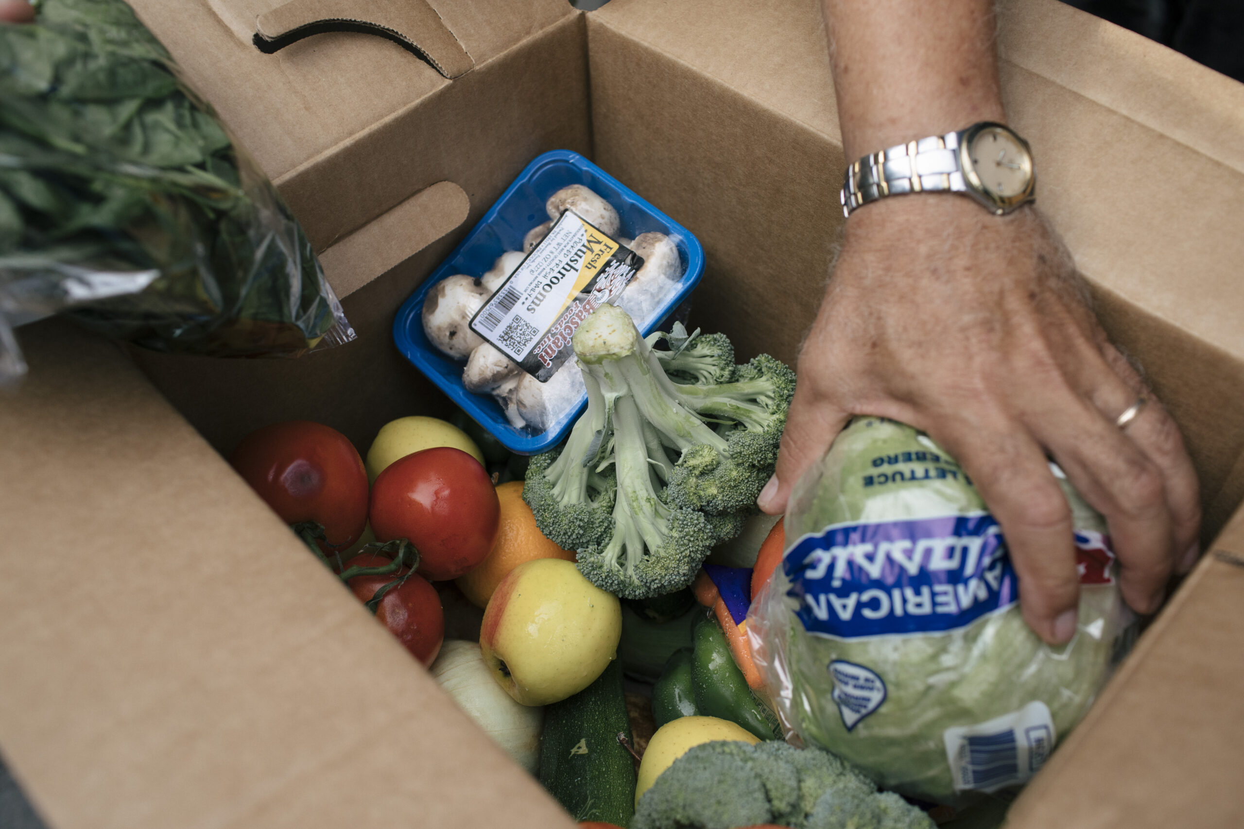 box of food being filled by volunteer